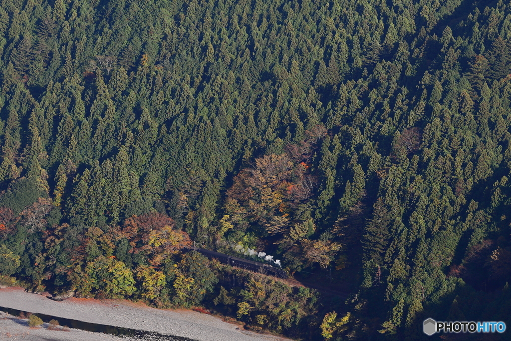 紅葉の大井川鐵道SLかわね路号②