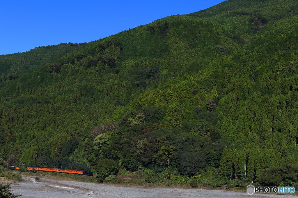 紅葉直前の大井川鐡道SLかわね路号②