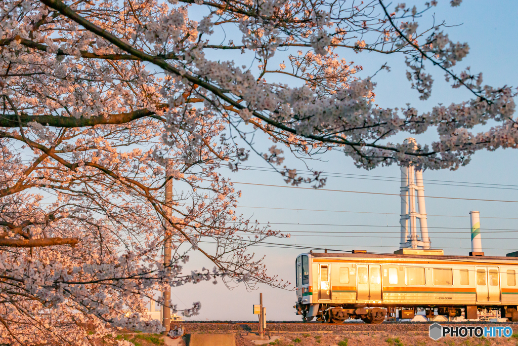 2020.4.7 夕陽と普通列車