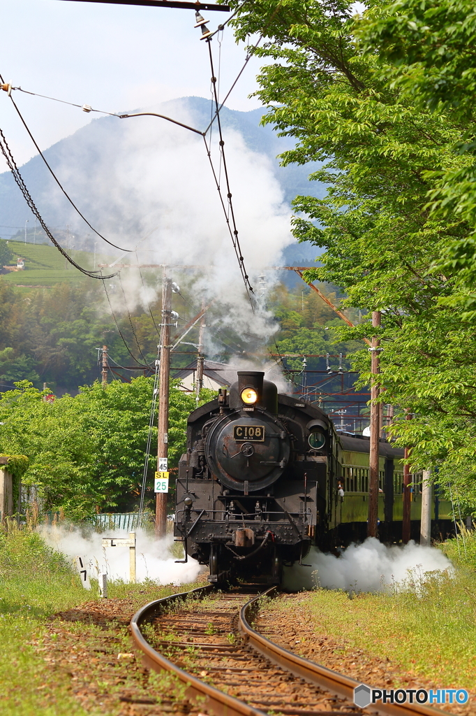 新緑の大井川鐵道⑪