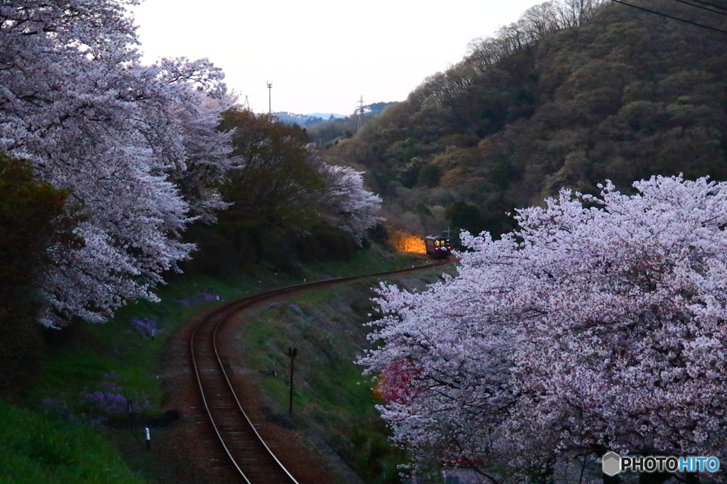 2016花のわたらせ渓谷鐵道⑨