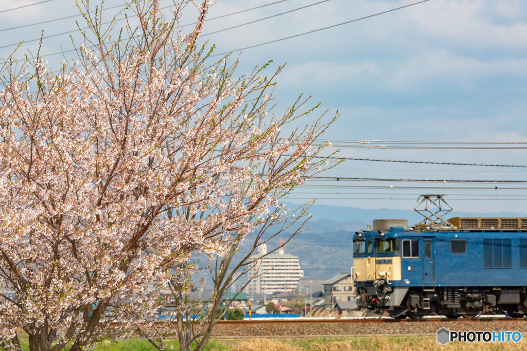 2020.4.2 遅3075レ EF64 1023②