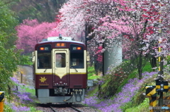2016花のわたらせ渓谷鐵道⑪