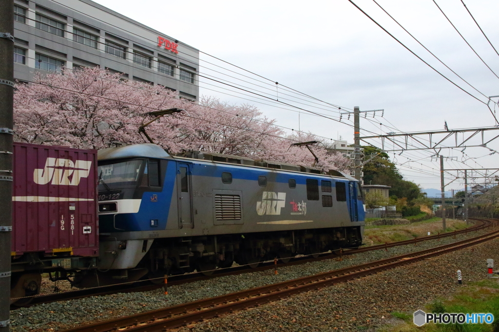 線路脇から、桜を添えて①