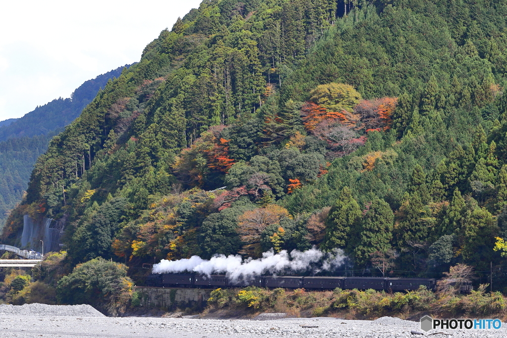 紅葉の大井川鐵道SLかわね路号③