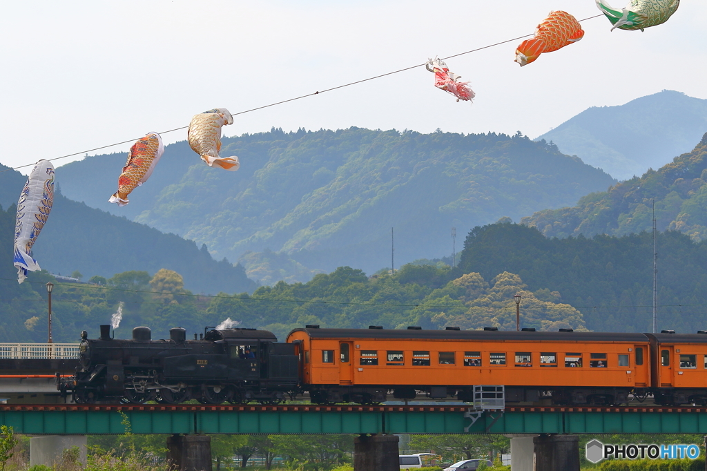 新緑の大井川鐵道⑦