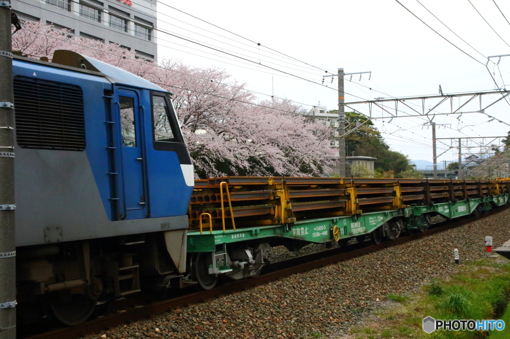 線路脇から、桜を添えて②