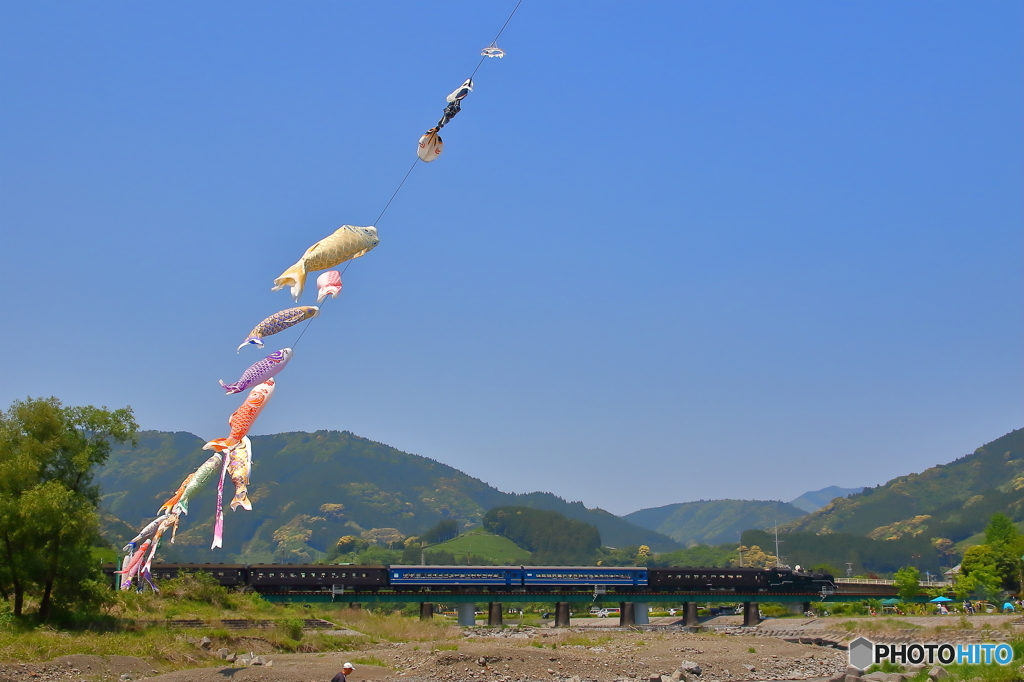 新緑の大井川鐵道①