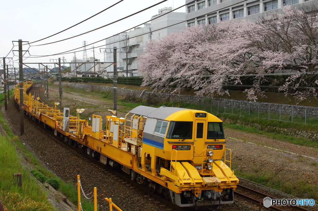 線路脇から、桜を添えて④