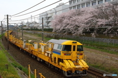 線路脇から、桜を添えて④