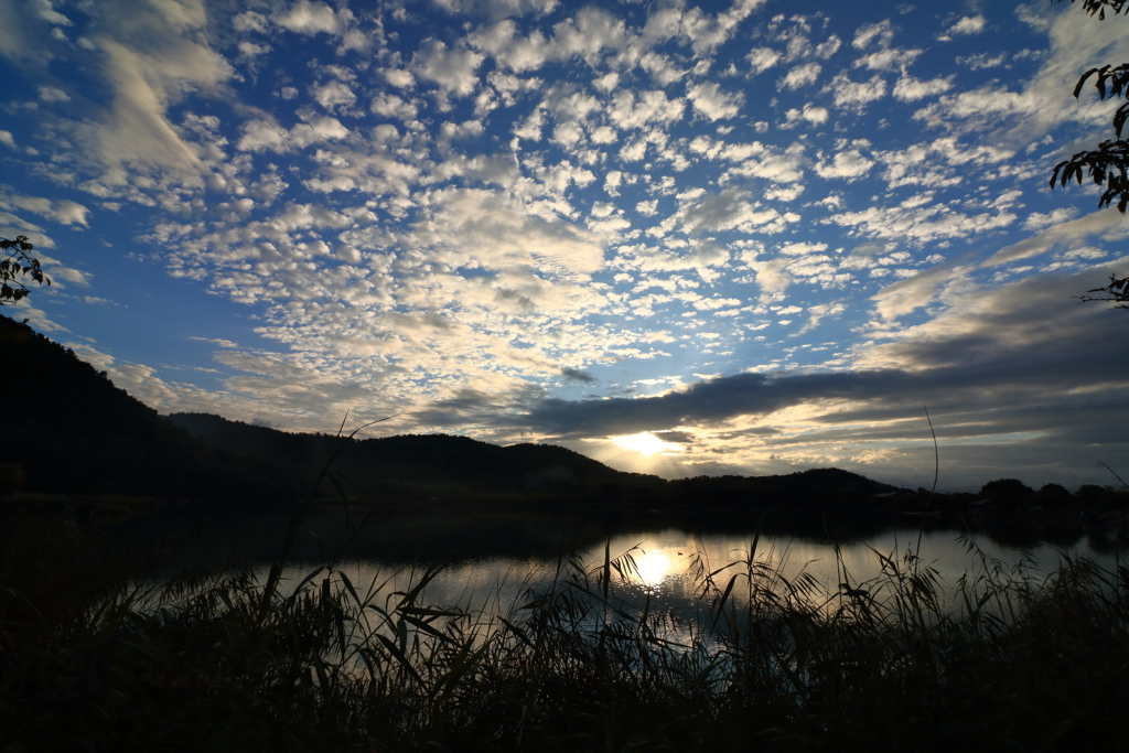 早朝の広沢池