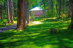 「苔寺」 白山平泉寺