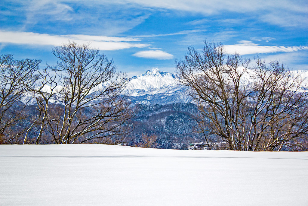 雪原と立山連峰