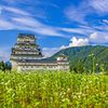 蕎麦畑と勝山城