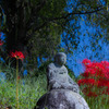 念通寺の彼岸花