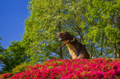 茶臼山恐竜公園