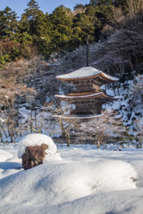 雪の金剛院三重塔