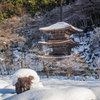 雪の金剛院三重塔