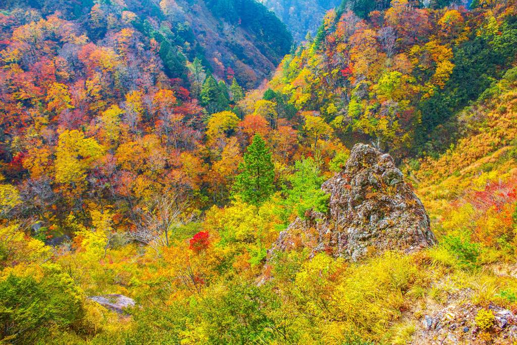 白山白川郷ホワイトロード