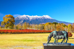 木曽馬の里