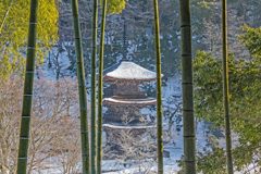 雪の金剛院三重塔