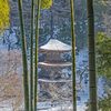 雪の金剛院三重塔