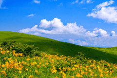 夏の霧ケ峰・車山肩