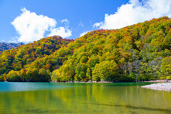 紅葉の白水湖
