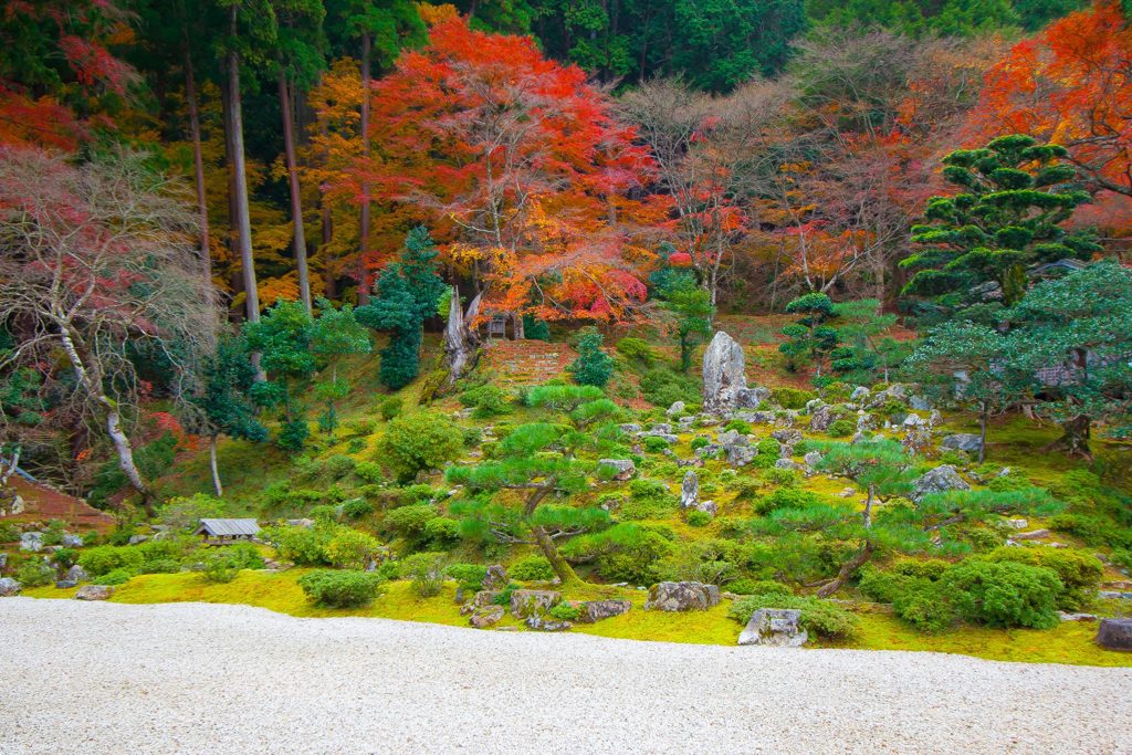 萬徳寺の紅葉