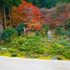 萬徳寺の紅葉