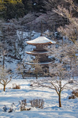 雪の金剛院三重塔