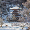 雪の金剛院三重塔