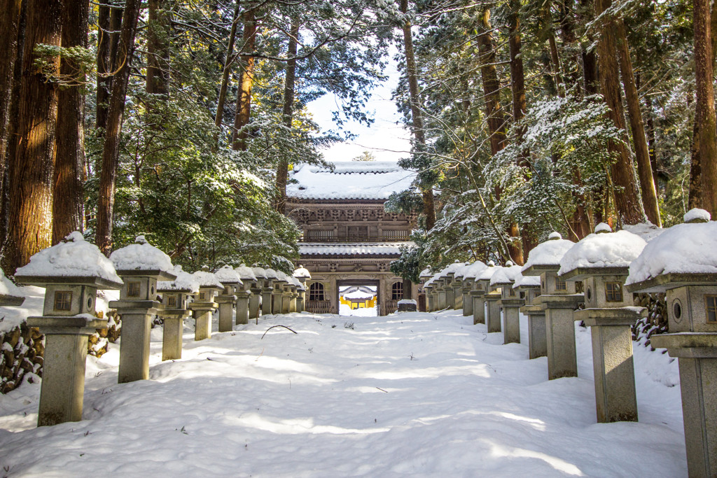 雪の芹谷山 千光寺 山門