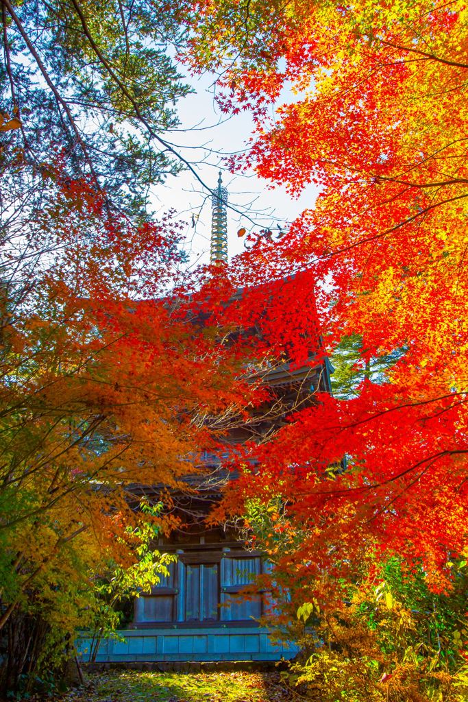 紅葉の摩頂山国泰寺三重塔