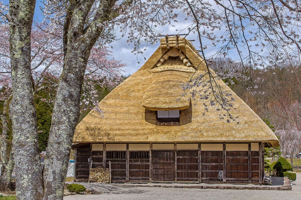 春の「荘川の里」