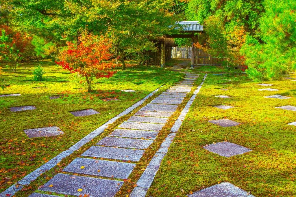 大智寺