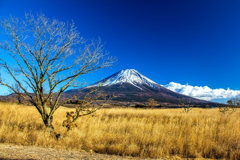 草原と富士山