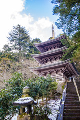 雪の摩頂山国泰寺