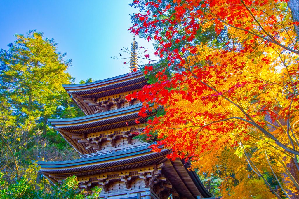 紅葉の摩頂山国泰寺三重塔