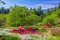 栗尾山満願寺つつじ公園