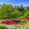 栗尾山満願寺つつじ公園