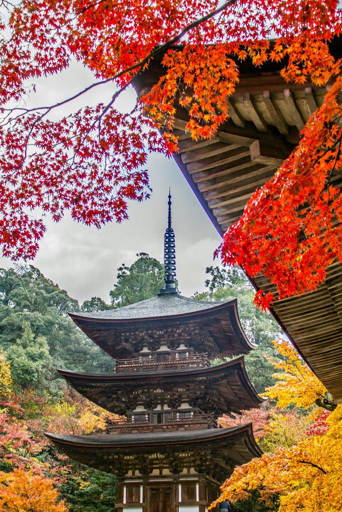 西明寺三重塔