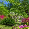 栗尾山満願寺つつじ公園