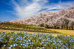 富山県中央植物園