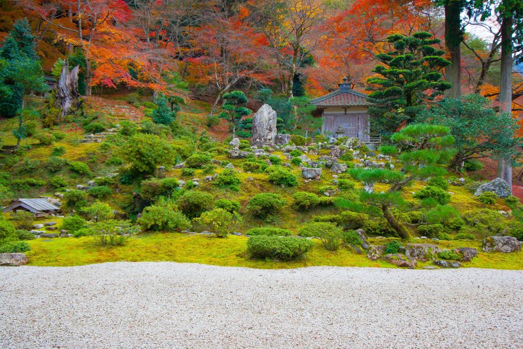 萬徳寺の紅葉
