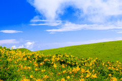 夏の霧ケ峰・車山肩