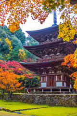 西明寺三重塔