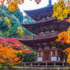 西明寺三重塔
