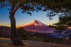 朝焼けの富士山