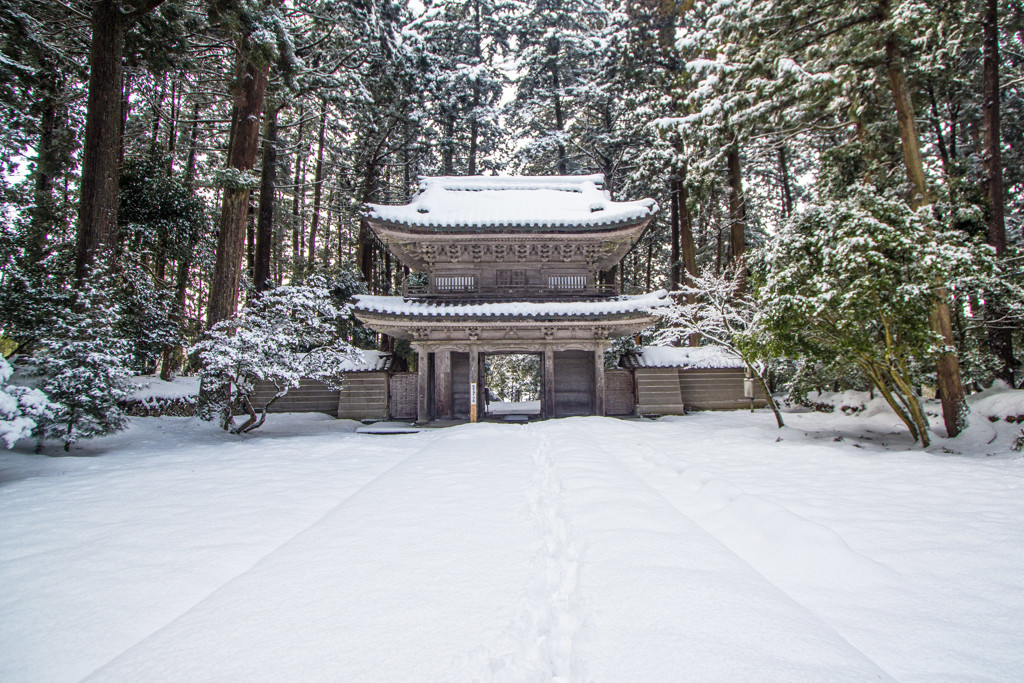 雪の芹谷山 千光寺 山門